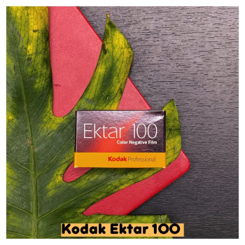 Cuộn Film Ektar 100